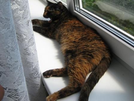 �������������� �����������