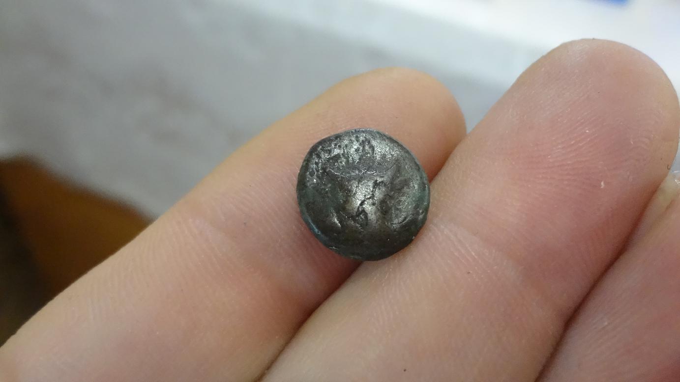 �������������� �����������