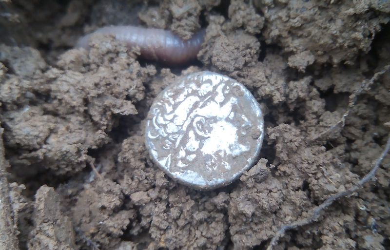 �������������� �����������