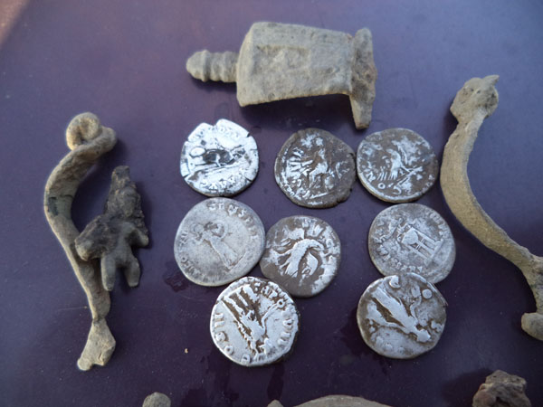 �������������� �����������