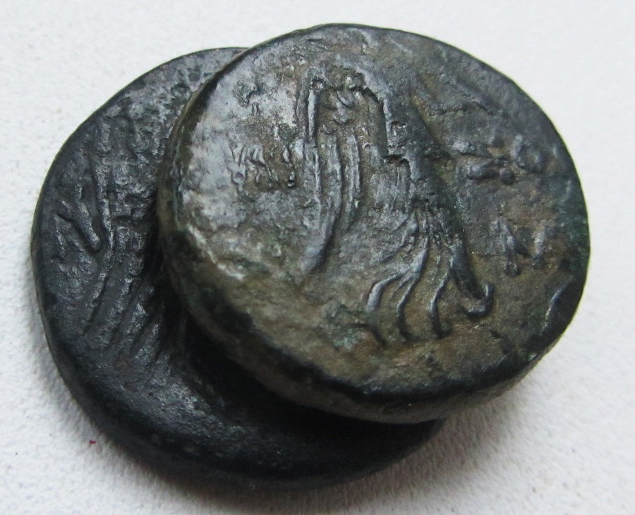 �������������� �����������