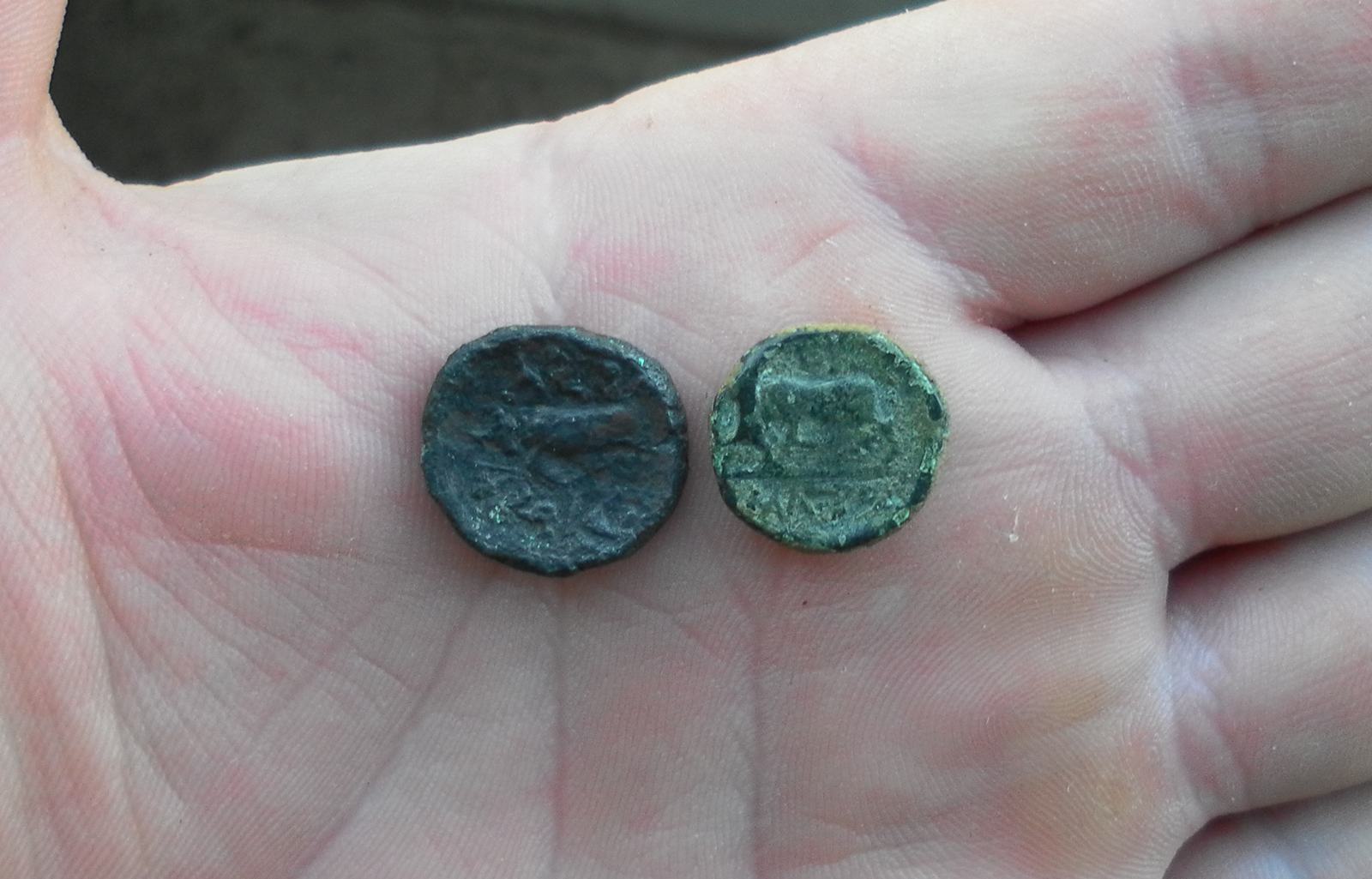 �������������� �����������