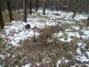Присоединенное изображение