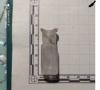 Присоединенное изображение