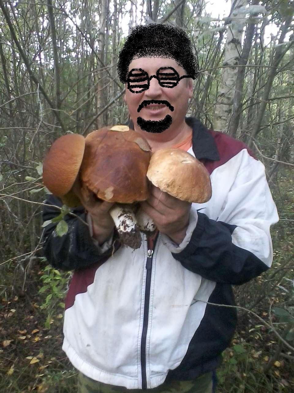 �������������� �����������