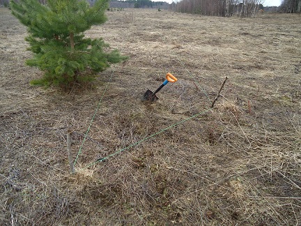 �������������� �����������