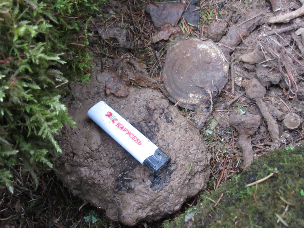 �������������� �����������