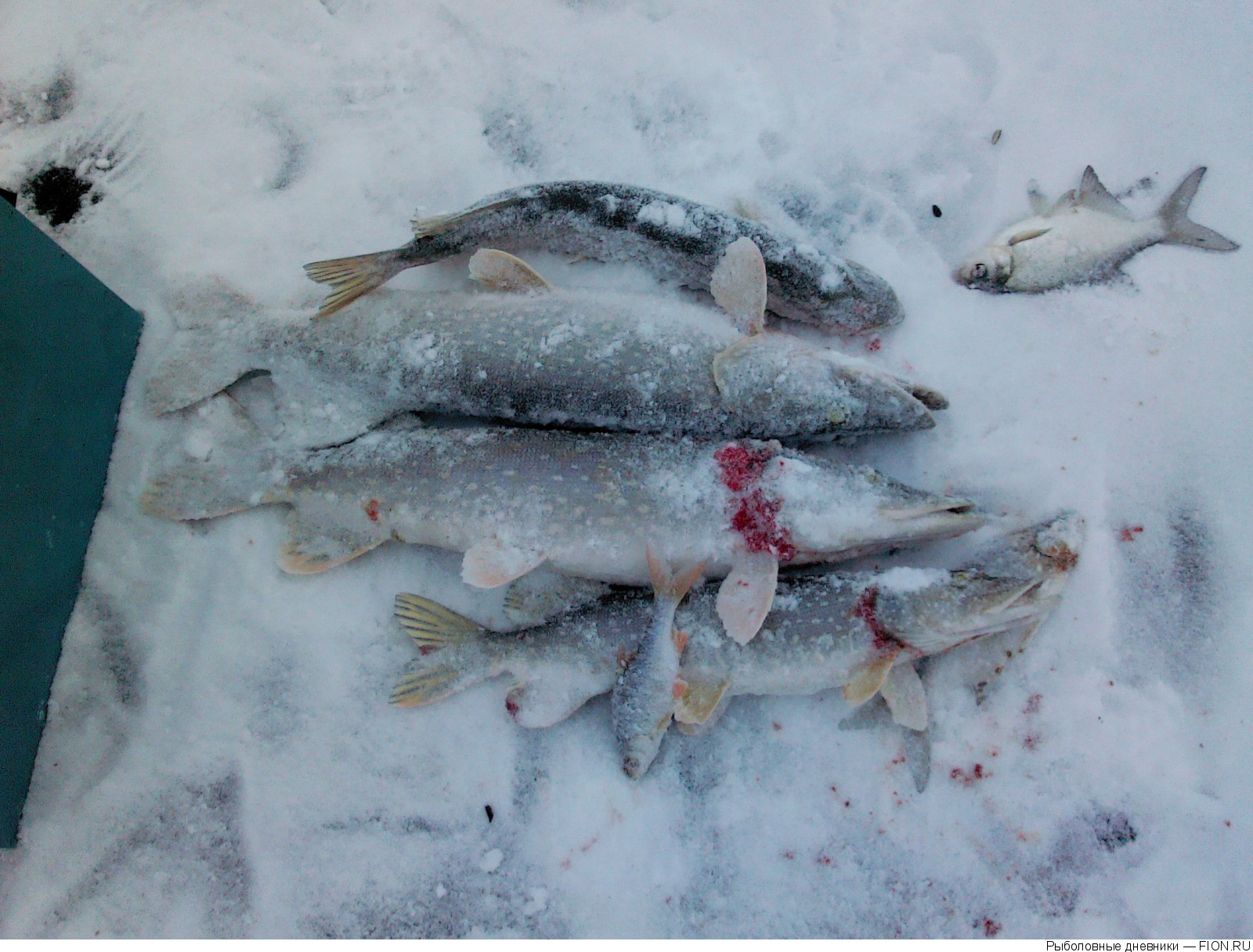 Русское водохранилище рыбалка. Озерна водохранилище рыбалка. Котовский залив рыбалка. Уводьское водохранилище рыбалка зимой. Черкесское водохранилище рыбалка зимой.