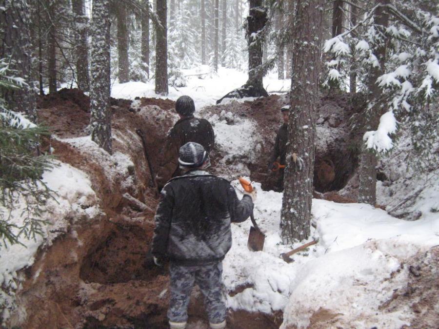 �������������� �����������