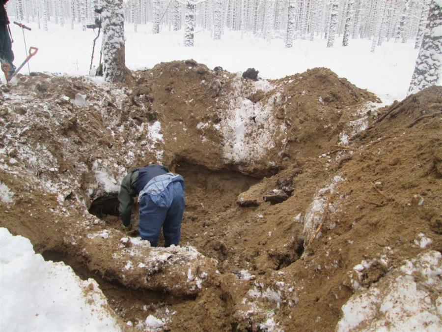 �������������� �����������