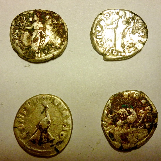 �������������� �����������