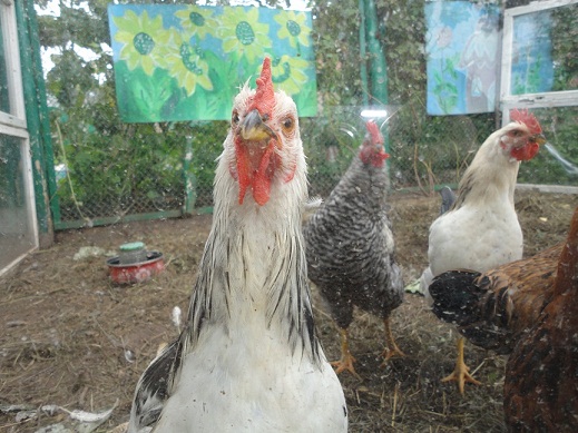 �������������� �����������