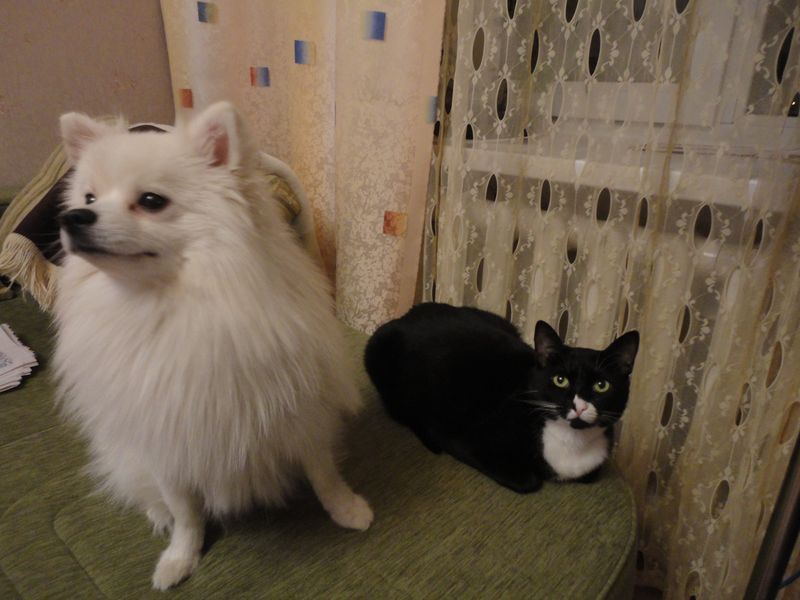 �������������� �����������